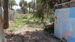 بستان مسيج كامل 3 دونمات للبيع في بابل