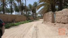 بستان مسيج كامل 3 دونمات للبيع في بابل