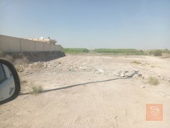 ٧ دونم أرض زراعية في النعيمية للبيع في الأنبار
