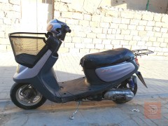 منغوالي 2007 للبيع في كربلاء المقدسة