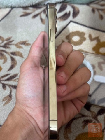 ابل ايفون 13 برو ماكس ذهبي 256 غيغا الذهبي للبيع في النجف الأشرف