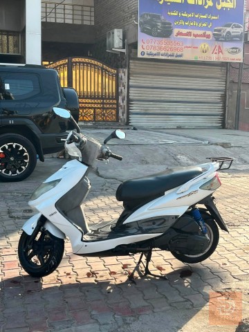 دراجة سكنس فحل نوزل كوري جديد للبيع في بغداد