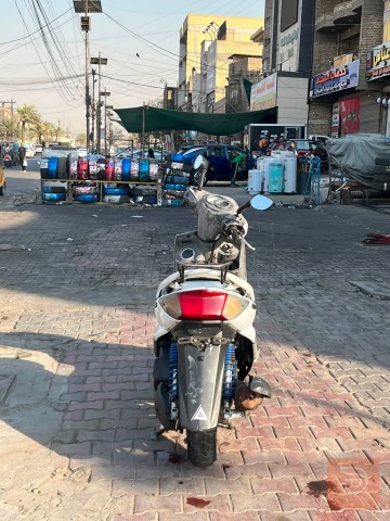 دراجة سكنس فحل نوزل كوري جديد للبيع في بغداد