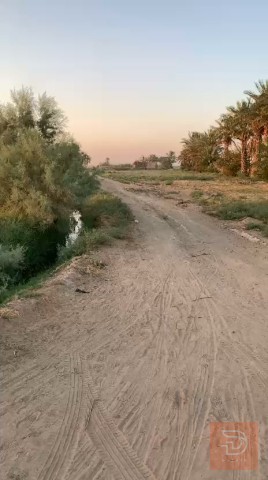 أرض 9 دونم في الصقلاوية للبيع في الأنبار