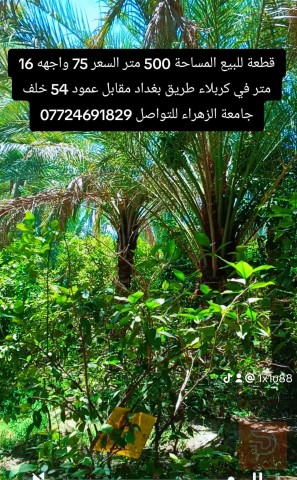 قطعة أرض في كربلاء طريق بغداد 500 متر للبيع
