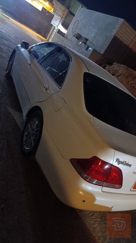 شاهينا باكيت للبيع في بغداد
