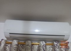 سبلت توسوت طنين جديد العام مستعمل للبيع في واسط