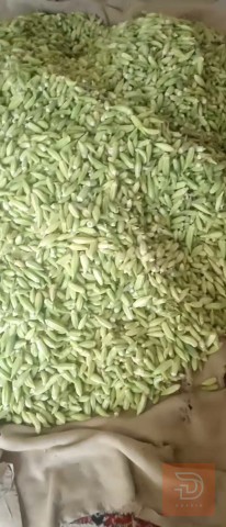 بانيه درجه اولئ جديد للبيع في واسط