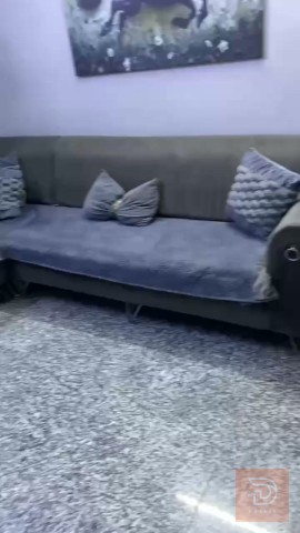 تخم رصاصي للبيع في بغداد