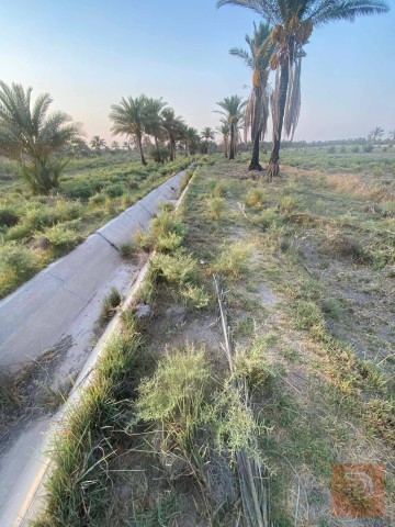 دوانم في التاجي العيساوية للبيع في بغداد