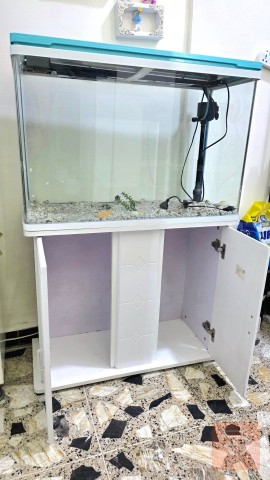 حوض اسماك حجم ٨٠ سنتم مع كامل ملحقاته مستعمل للبيع في بغداد