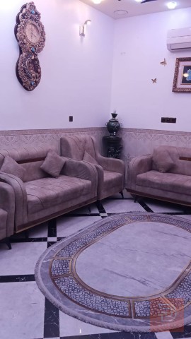 تخم فصال تركي للبيع في بغداد