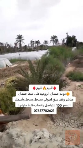 دونم أرض في حمدان الرومية على الشط للبيع في بغداد