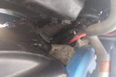 سكنس فحل ياباني خطين مستعمل للبيع في بغداد