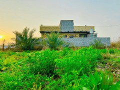 دونم طابو زراعي قرب عمود 268 للبيع في كربلاء المقدسة