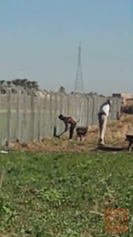 قطعة أرض زراعية ١٧٠٠ متر مسيجة للبيع في الأنبار