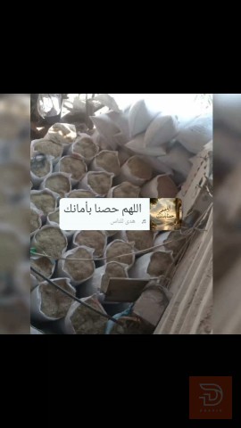 تبن سعف نخل نخب أول للبيع في ميسان