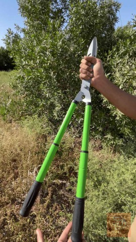 مقص أشجار احترافي بمقابض تلسكوبية 55 إلى 75 سم للبيع في ميسان