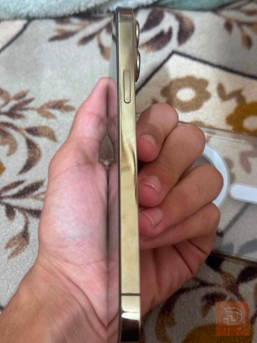 ايفون 13برو ماكس ذهبي للبيع في النجف الأشرف