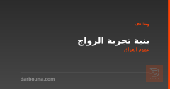 بنية تجربة الزواج — عموم العراق