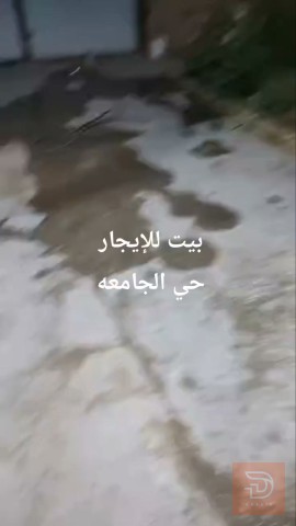 بيت في حي الجامعة 250 متر للايجار في واسط