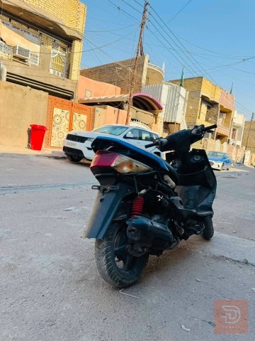 دراجه سكنس فحل للبيع في بغداد