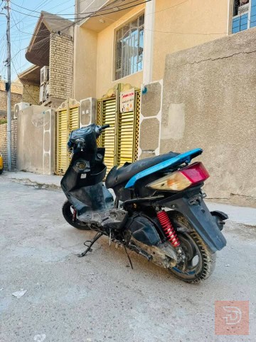 دراجه سكنس فحل للبيع في بغداد