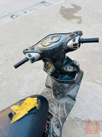 دراجه سكنس فحل للبيع في بغداد