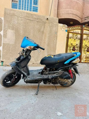 دراجه سكنس فحل للبيع في بغداد