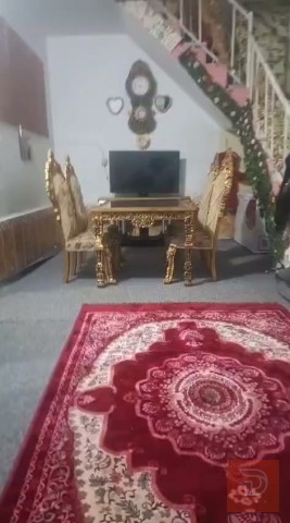 تخم ملكي خشب زان مصري للبيع في كربلاء المقدسة