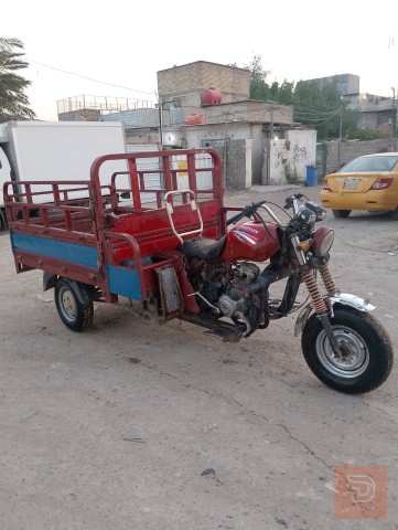 ستوتة دايوان 2020 للبيع في بغداد