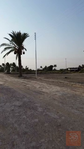 أرض زراعية في ديالى ناحية كنعان 2500 متر مربع للبيع