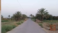 أرض 8 دونم للبيع في الأنبار