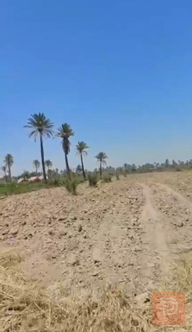 أرض 1 دونم في الخيرات للبيع في كربلاء المقدسة