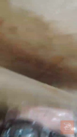 كارتون لانجري جديد للبيع في واسط
