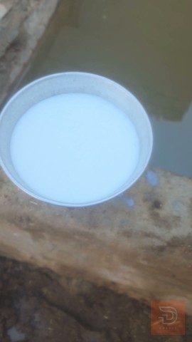 هايشنة خشنة للبيع في ميسان