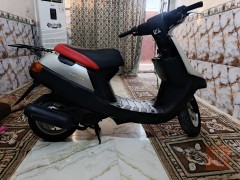 دراجة بطة موديل 99 للبيع في كربلاء المقدسة