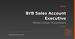 B2B Sales Account Executive — البصرة