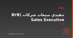 تنفيذي مبيعات شركات (B2B Sales Executive — بغداد
