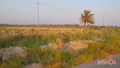 أرض زراعية 6 دونم في كربلاء للبيع