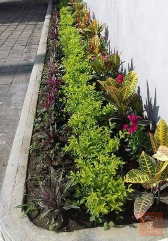 خدمة ترتيب وتنظيف الحدائق في كربلاء المقدسة