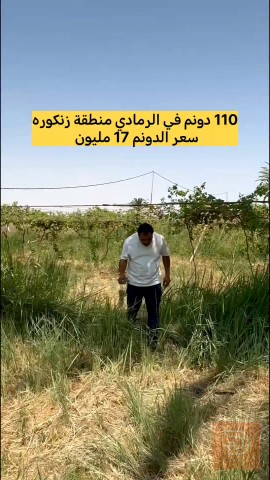 اراضي 110 دونم للبيع في الأنبار