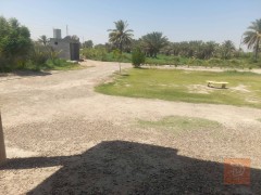 دونم مع بيت بناء طابوق جديد عرض 50 ونزال 50 للمقايضة في الأنبار