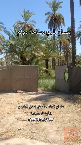 بستان مساحة ٢٥٠٠ متر للبيع في كربلاء المقدسة
