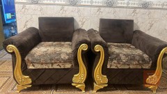 تسكام تخم 10 نفرات للبيع في النجف الأشرف