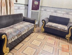 تسكام تخم 10 نفرات للبيع في النجف الأشرف