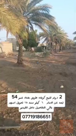 دونمين سعر الدونم 230 للبيع في بغداد
