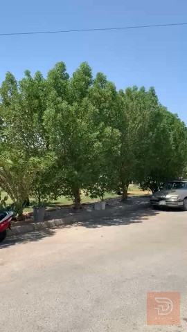 دار سكن بناء حديث بمساحة 250 م للبيع في الأنبار