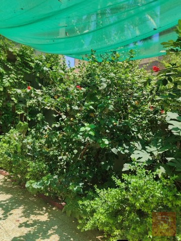 بيت طابو صرف 125 متر حي العامل 2019 للبيع في بغداد