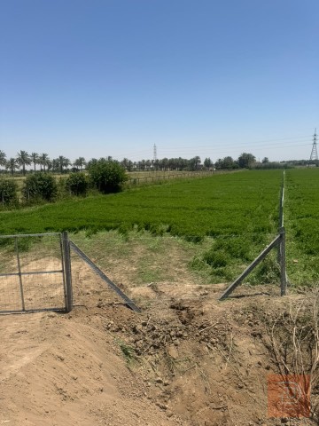 أرض دونمين ونصف طابو ملك صرف 2.5 دونم للبيع في واسط